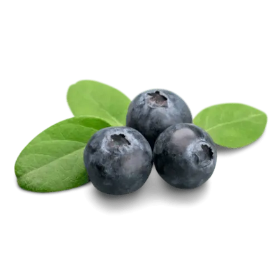 Magnesium Malate